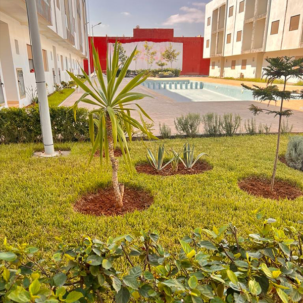 Residencia d'el verano